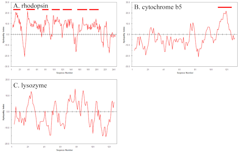 Hydropathy plot answers