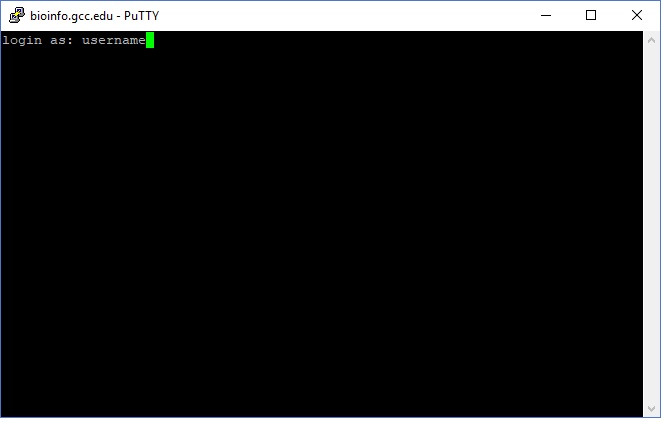 putty login.
